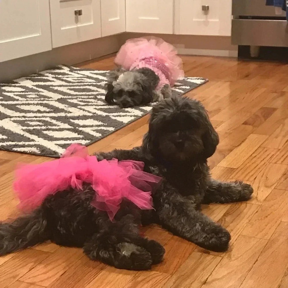 MY FAMILY - Picture 7 of 14